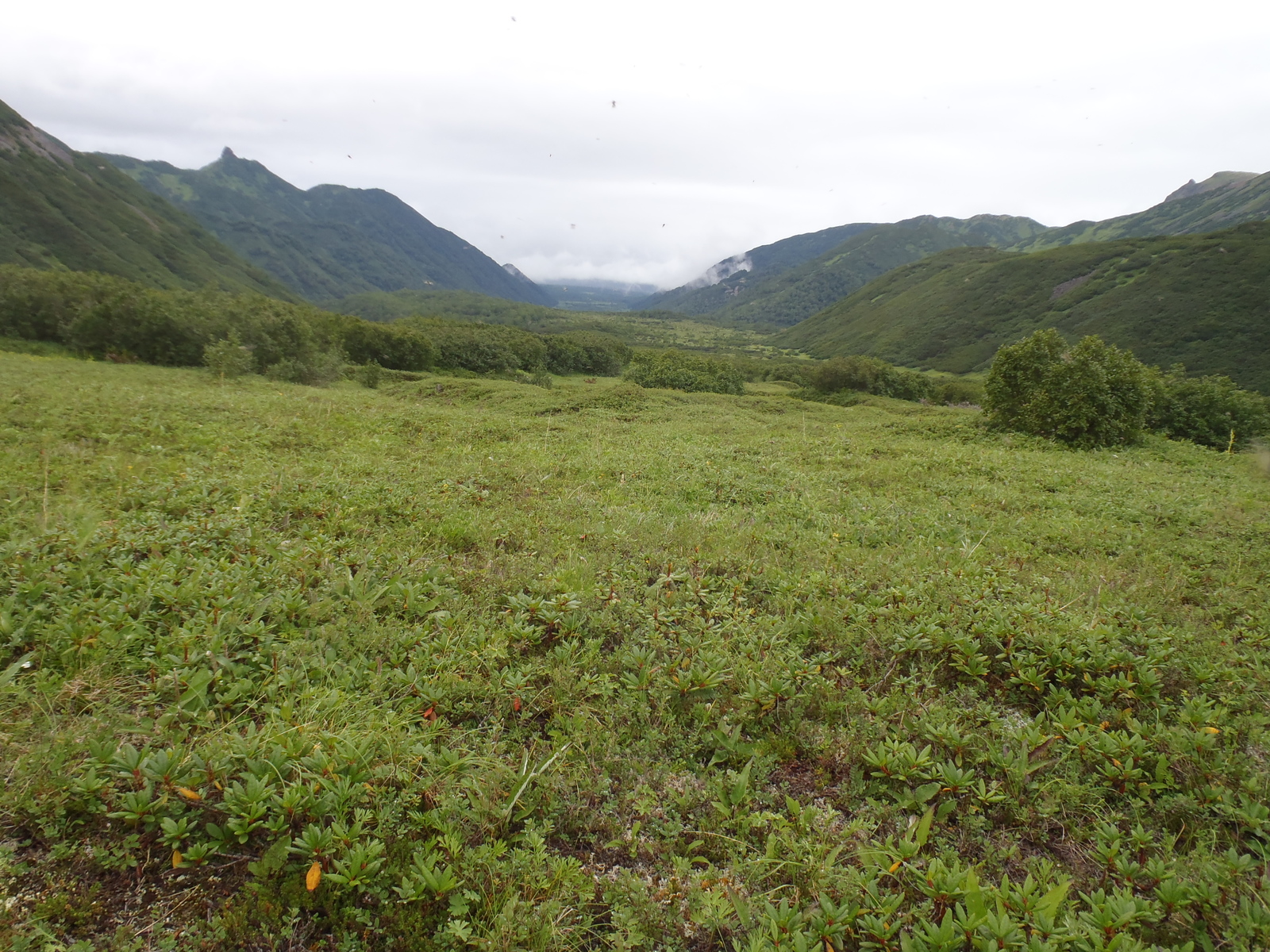 Our race (crawled) to the Bakening volcano. Day two - soaked in dampness, pain and hatred. - My, My, Kamchatka, Tourism, Sodomy, Longpost, , Volcano