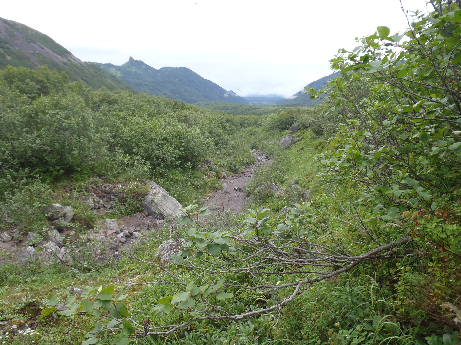 Our race (crawled) to the Bakening volcano. Day two - soaked in dampness, pain and hatred. - My, My, Kamchatka, Tourism, Sodomy, Longpost, , Volcano