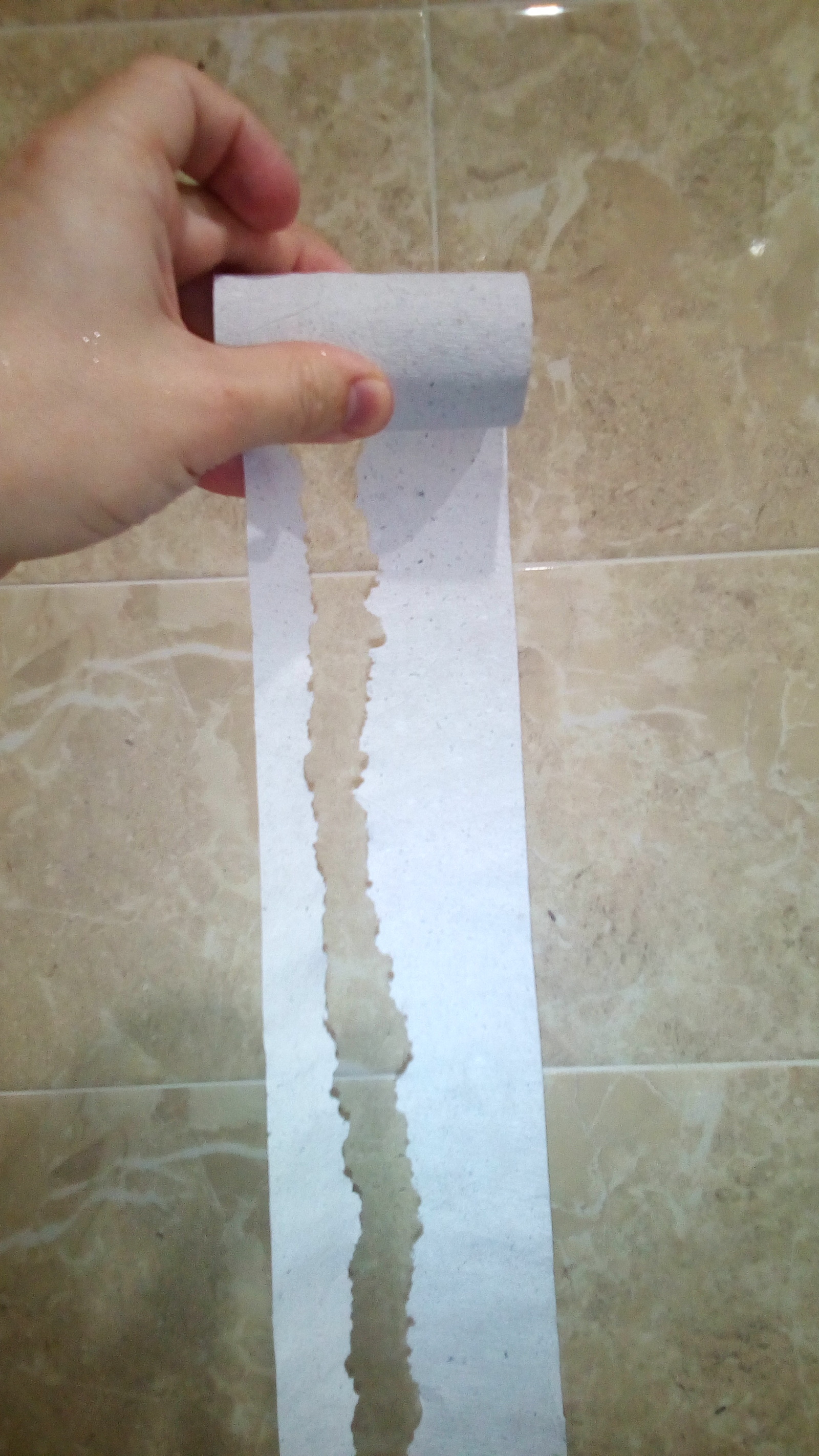 Wasted toilet paper - My, Toilet paper, Marriage, Toilet, Longpost