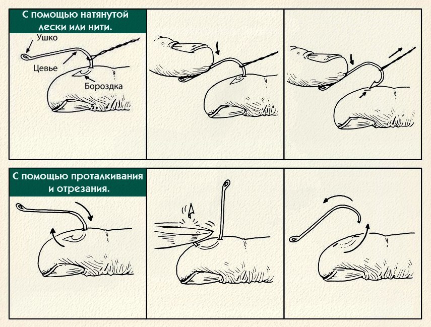Как вытащить крючок из тела? - Рыбалка, Зимняя рыбалка, Рыбаки, Охота и рыбалка, Лига Рыбаков