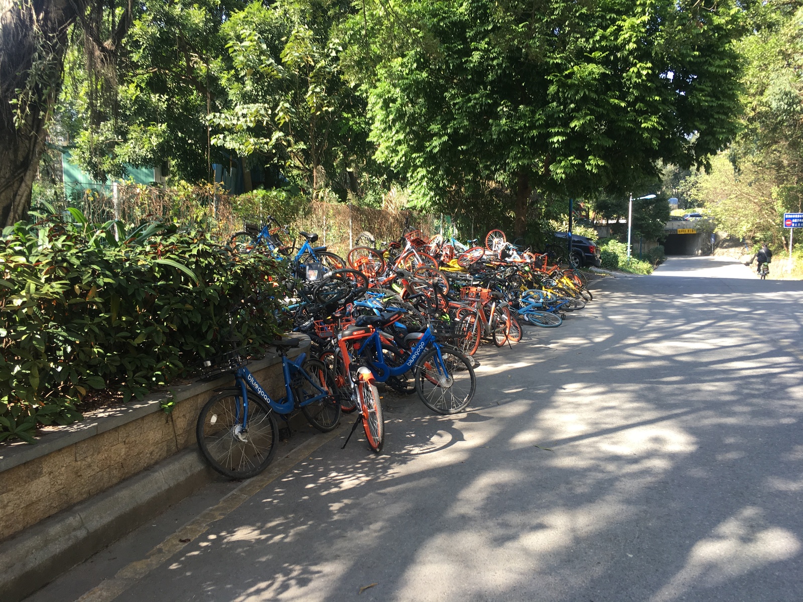 And again about China... Bicycles - My, China, A bike, Longpost, Bike rental