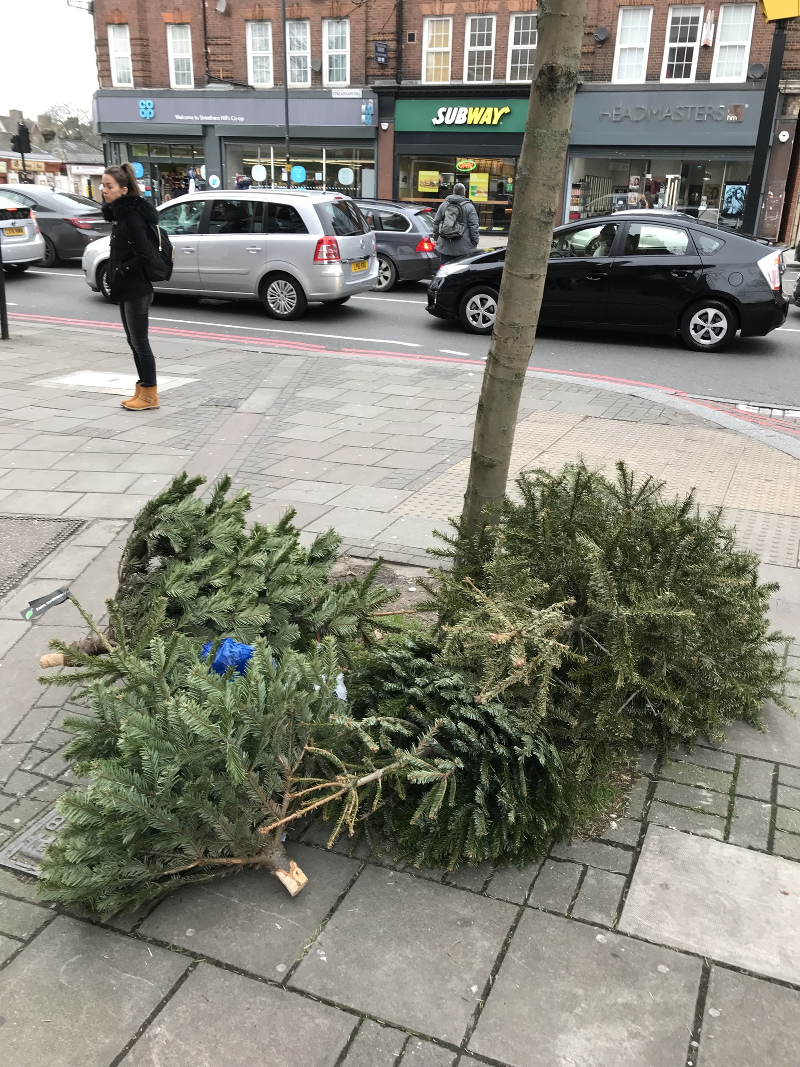 How Christmas trees are thrown away in England - My, Christmas trees, New Year, England, Longpost