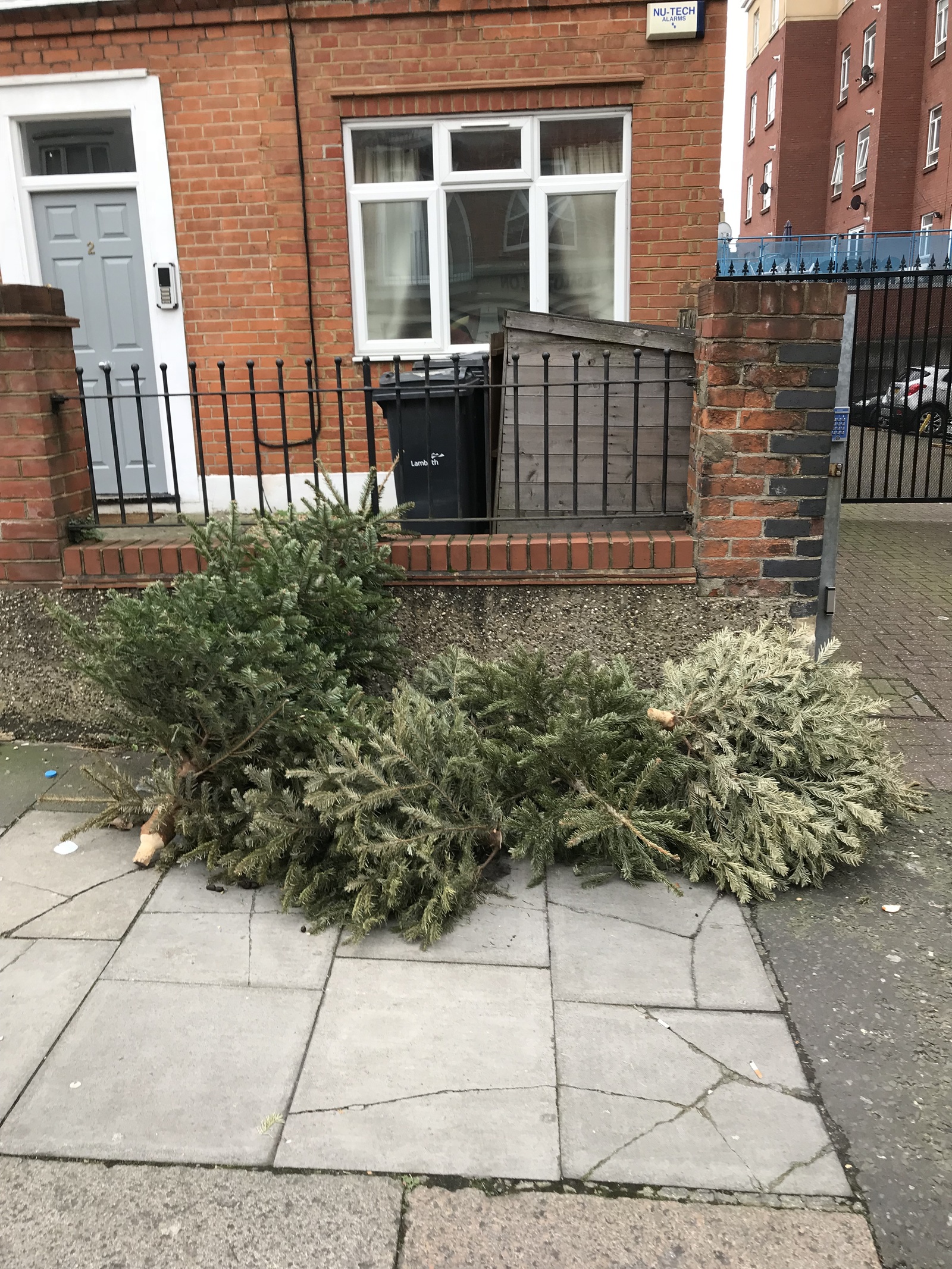 How Christmas trees are thrown away in England - My, Christmas trees, New Year, England, Longpost