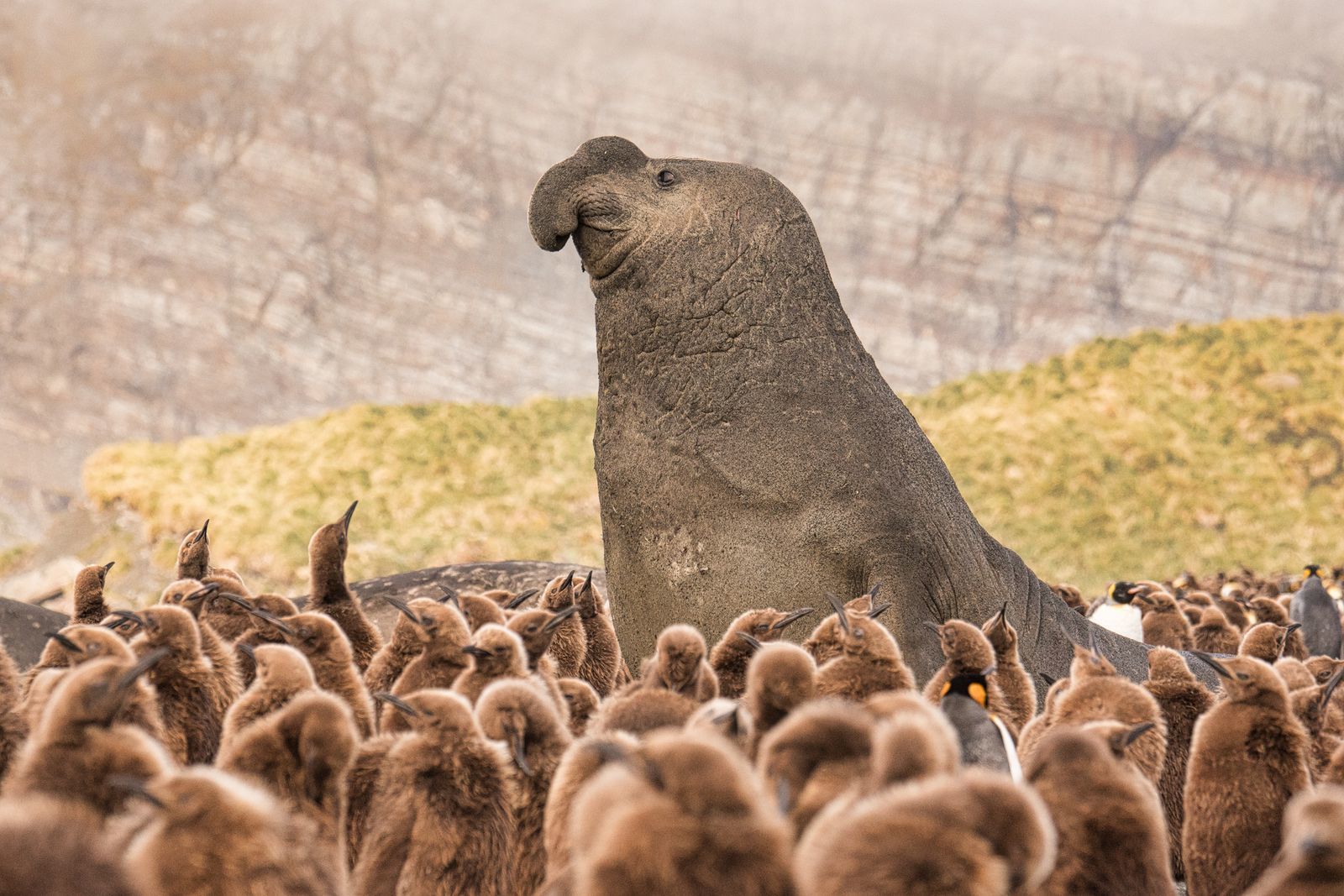 A selection of gorgeous photos from National Geographic - Beautiful places, The photo, A selection, The national geographic, Beautiful view, Longpost