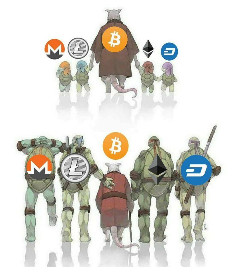 Let's mark the end of the bloody correction with a cute picture. - Cryptocurrency, Bitcoins