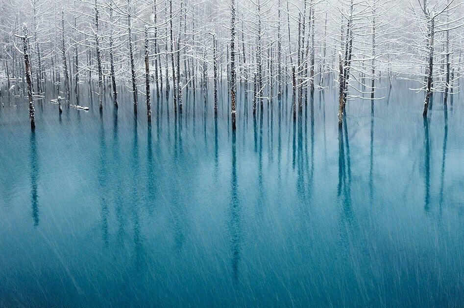 Blue pond and first snow - , Nature