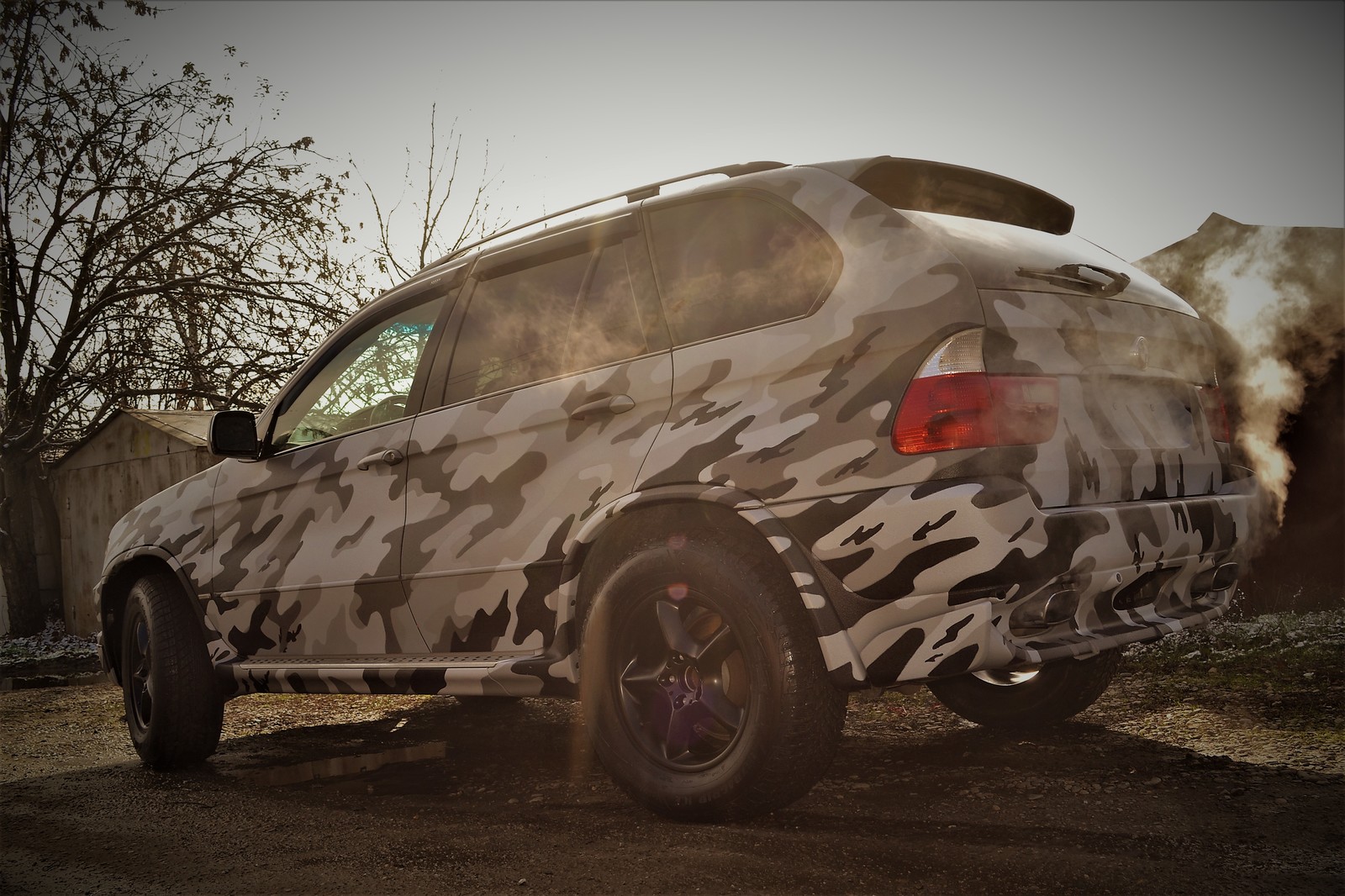 BMW X5 Raptor Camouflage - My, Raptor, Camouflage, Longpost, Auto