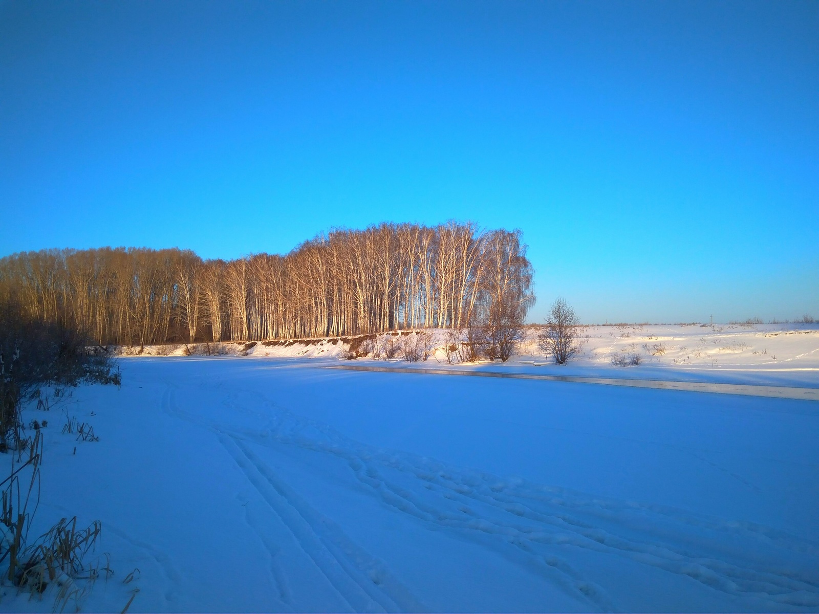 Normal winter - My, Winter, Forest, The photo, Longpost