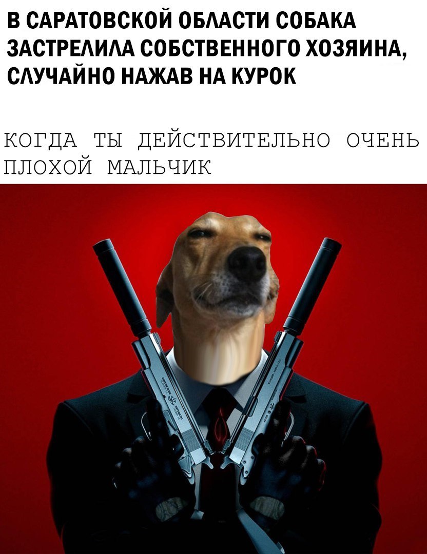 В Саратове Собака Пристрелила Хозяина Фото