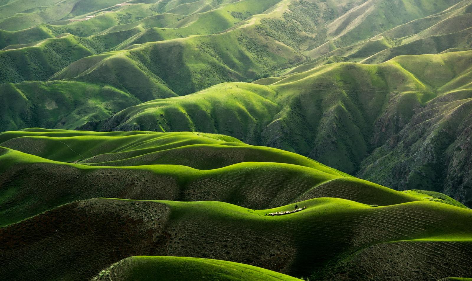 Хочу поделиться прекрасным сервисом для фотографий - Фотография, So amazing, Длиннопост, Невероятно