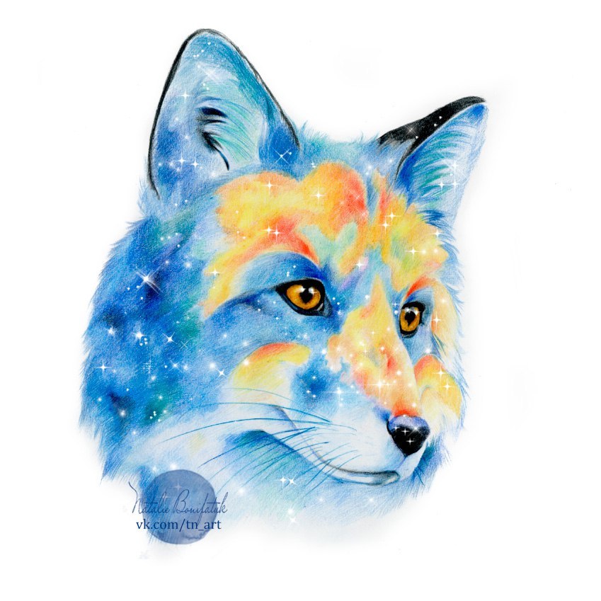 space fox - My, Fox, Space, Colour pencils