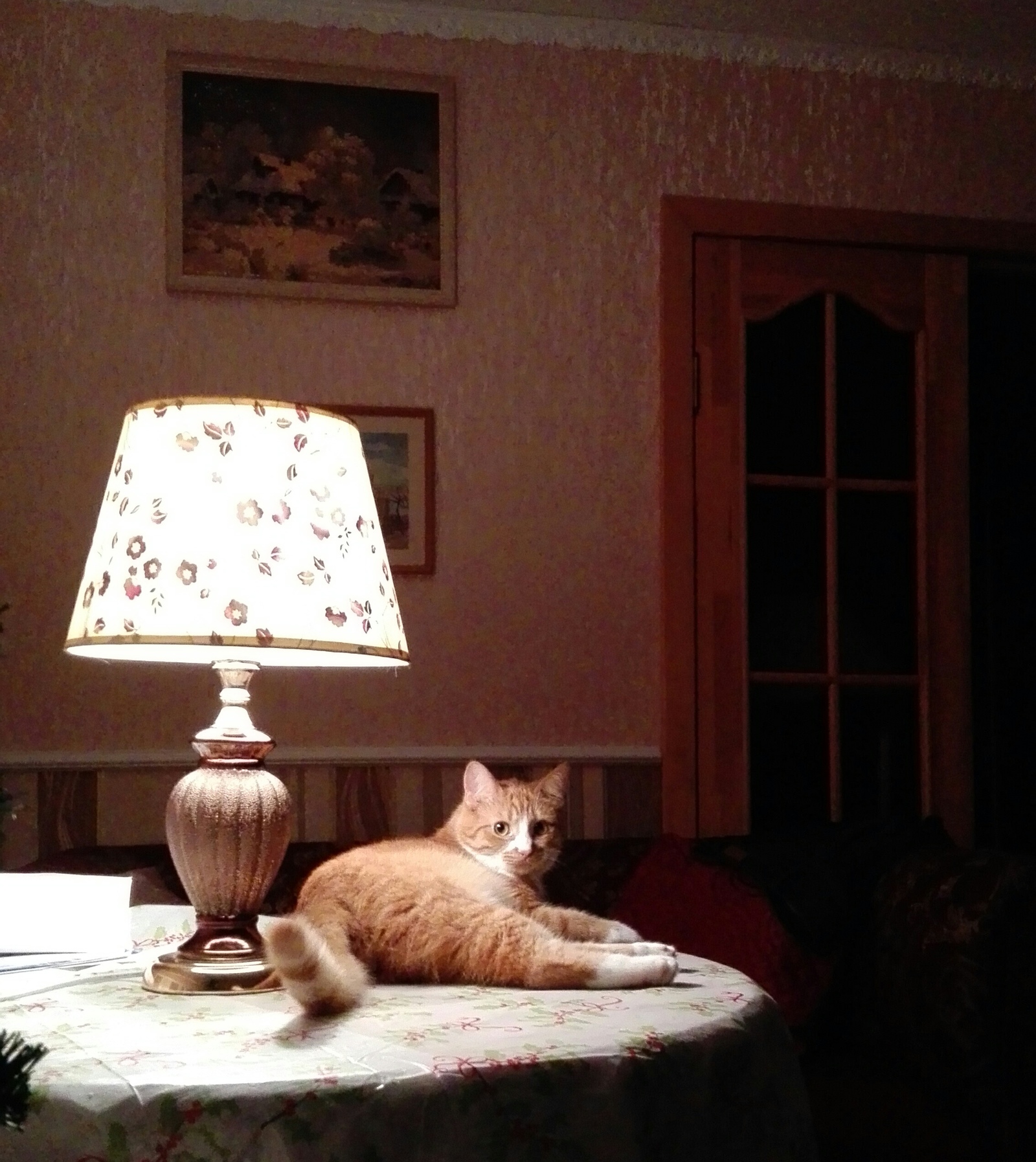 Stepan - My, Cat with lamp, Redheads