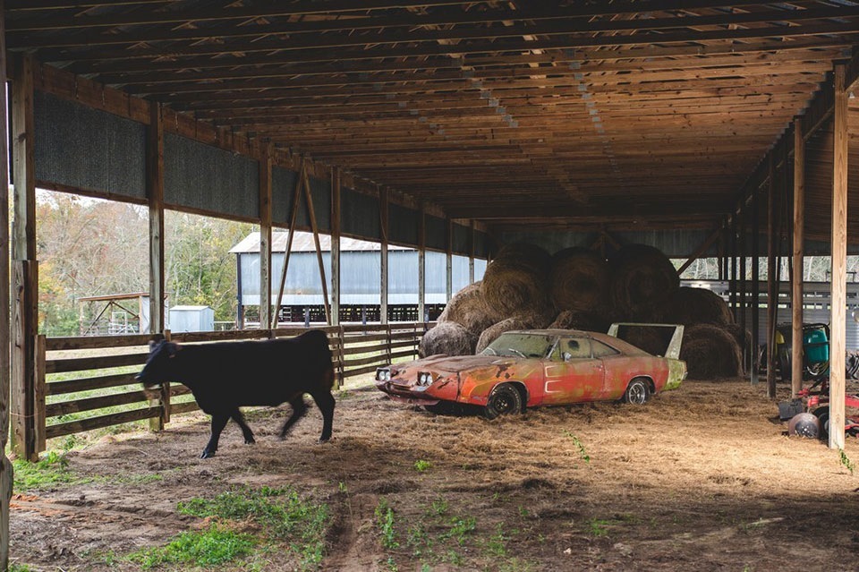 Barn Find or the Forgotten Treasure of the 1969 Dodge Daytona - , Plymouth, Dodge, Dodge charger, Rarity, Recovery, Longpost