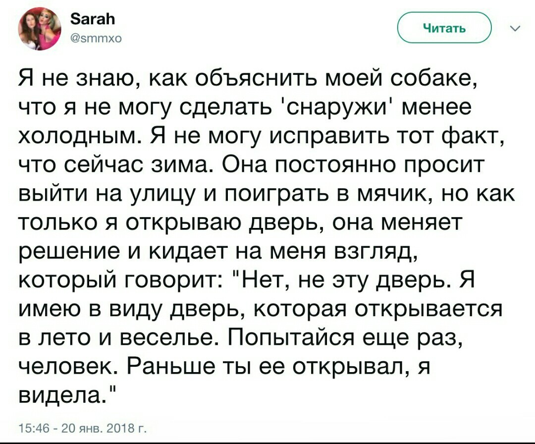 Дверь в лето - Тупость, Лето