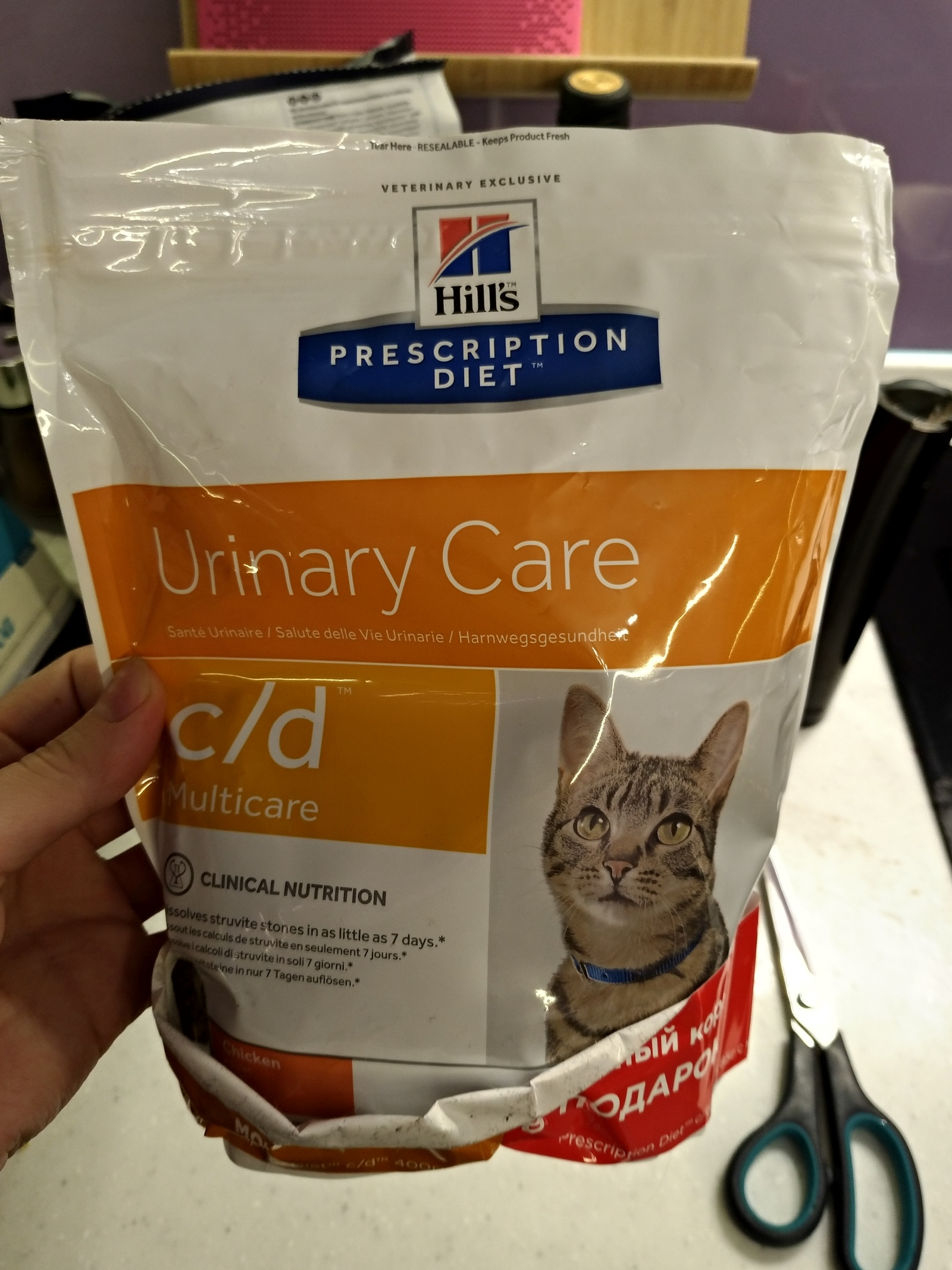 Free opened food for cats with urolithiasis - My, My, Is free, Cat's food, Longpost