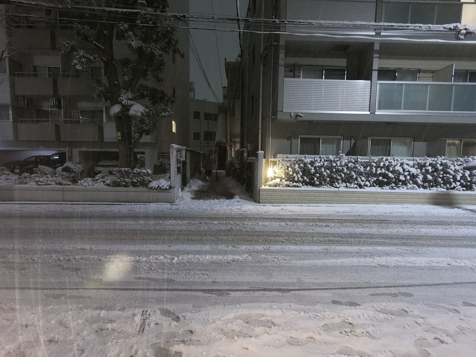 The first snow in Tokyo and the reaction of the townspeople - Japan, Tokyo, Snow, Apocalypse, Longpost