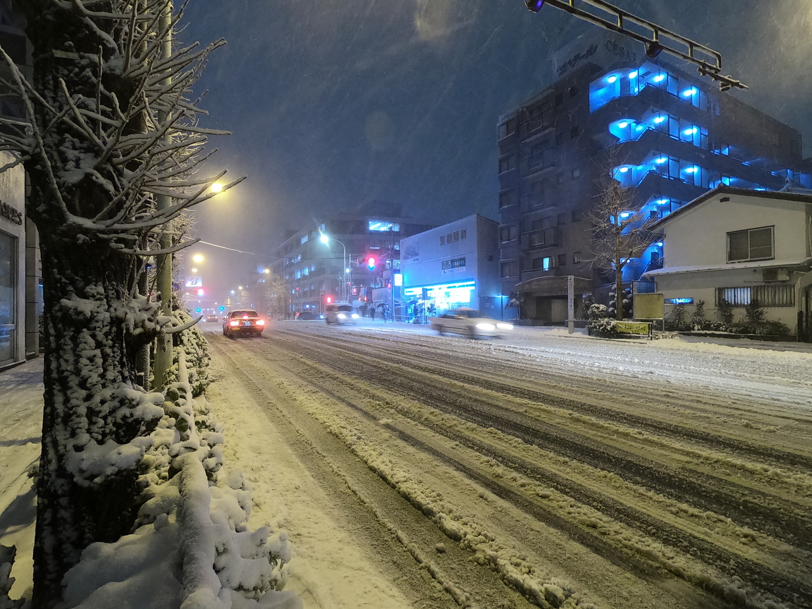 The first snow in Tokyo and the reaction of the townspeople - Japan, Tokyo, Snow, Apocalypse, Longpost