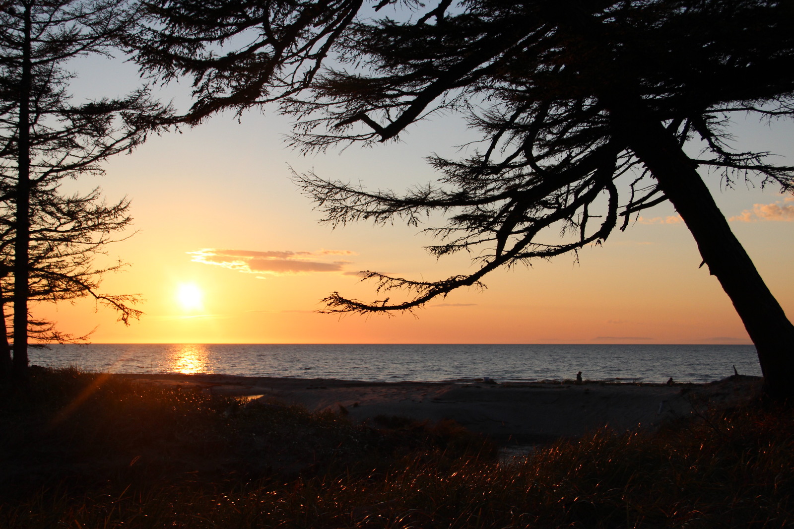 Sakhalin. Magic nature. - My, wildlife, My, Sakhalin, Longpost