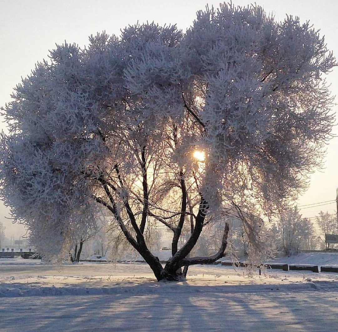 Зима создаёт красоту - Моё, Зима, Красноярск, Природа