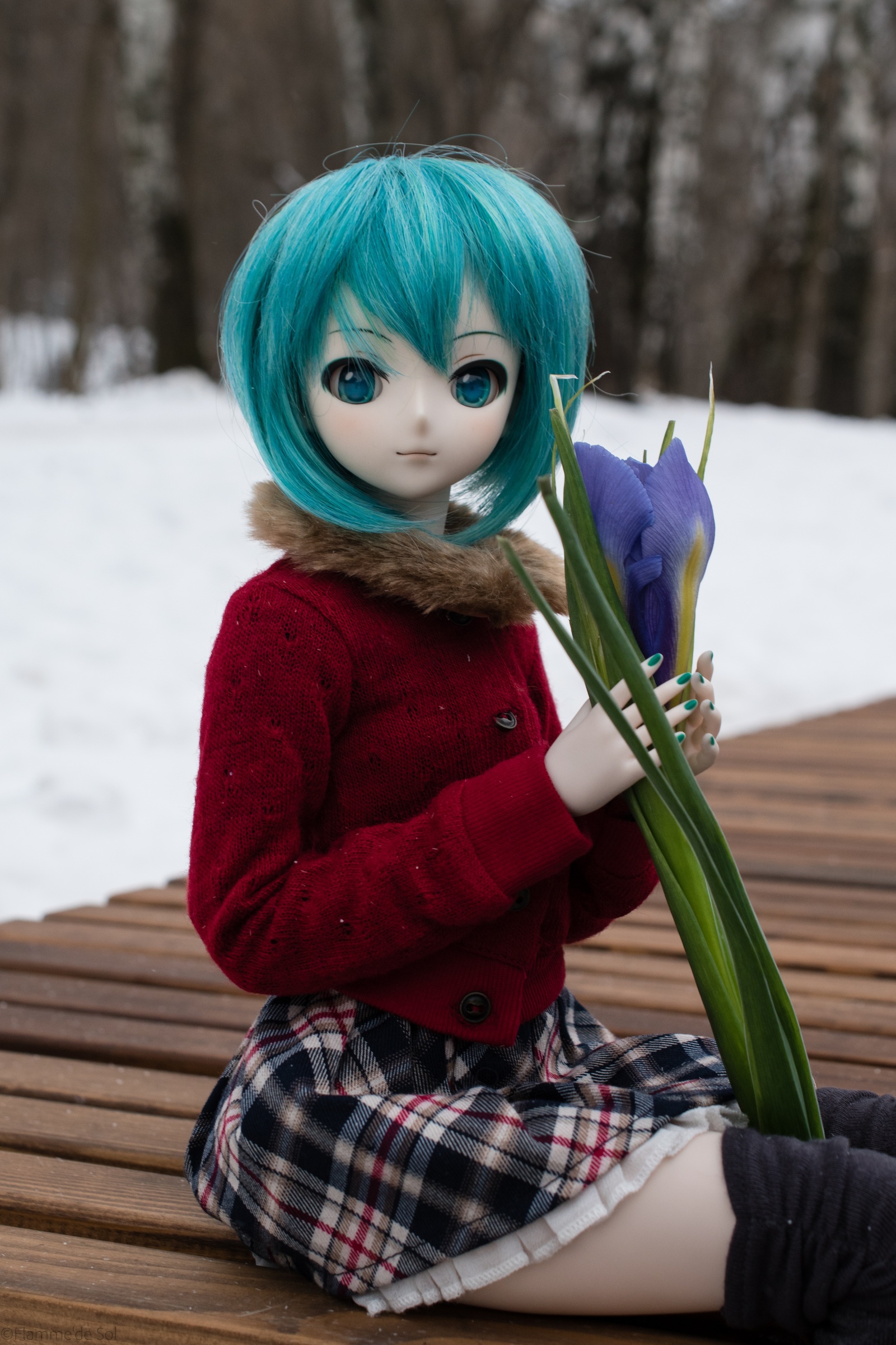 DollfieDream - зимняя Мику - Моё, Dollfiedream, Шарнирная кукла, Hatsune Miku, Аниме, Фотография, Хобби, Длиннопост