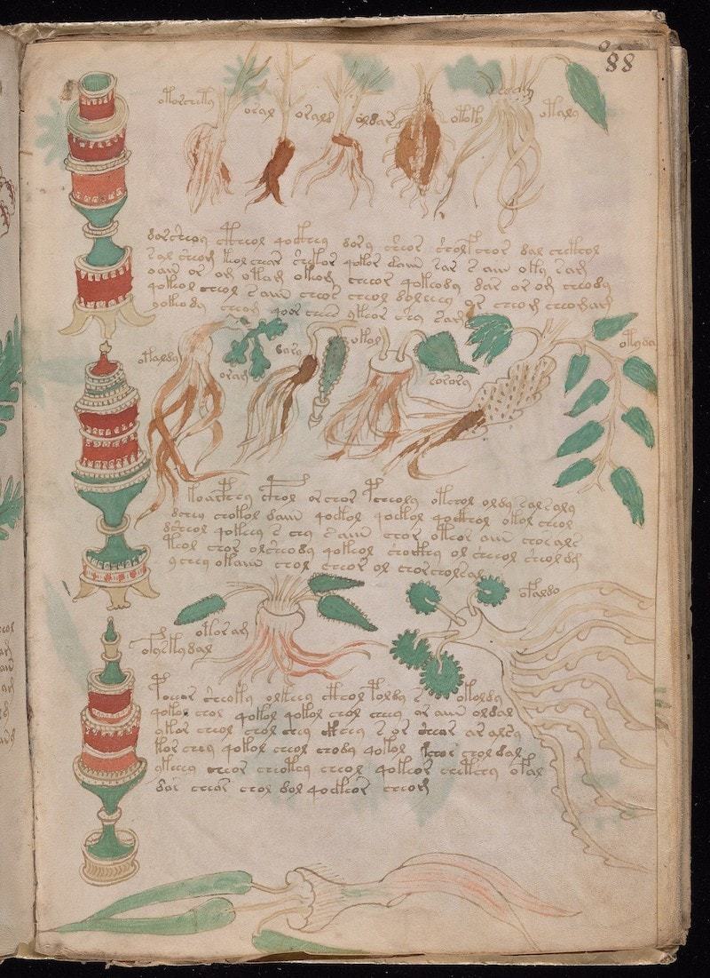 A book that cannot be read. Why has no one revealed the secret of the Voynich manuscript? - Story, Art, Mystic, Books, Alchemy, Longpost