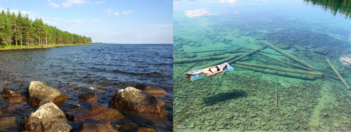 Lambushka - My, Карелия, Nature, , Perch, Longpost, Real life story