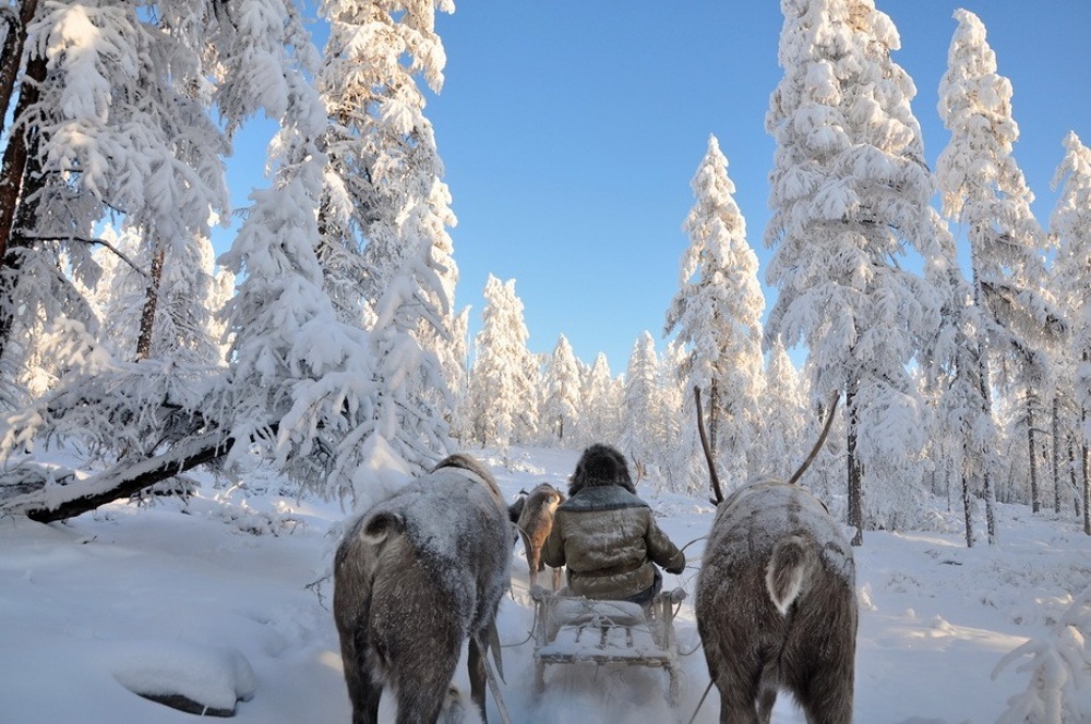 Road of life and death. Zimnik of Yakutia. - Watch, Business trip, Longpost, Winter road, Yakutia