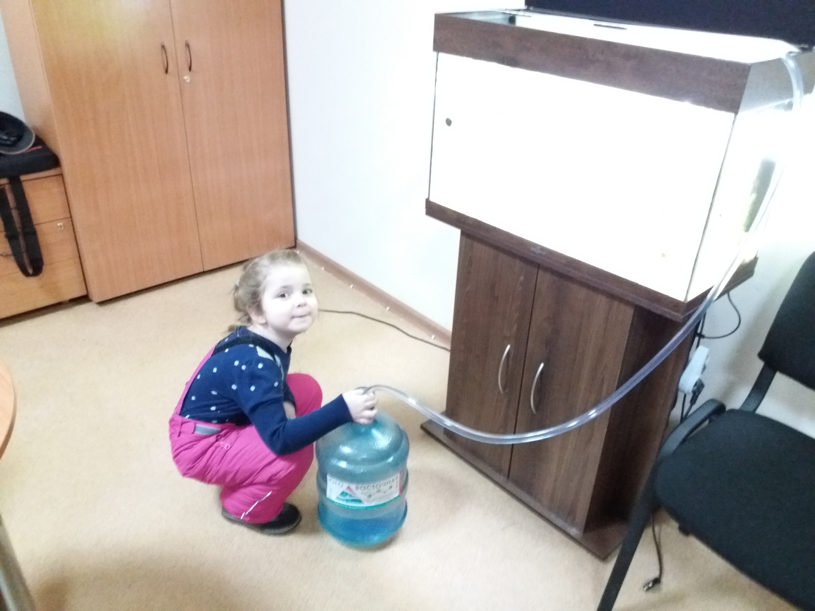 Moving the aquarium to 80 liters. - My, Aquarium, , Aquarium fish, Longpost