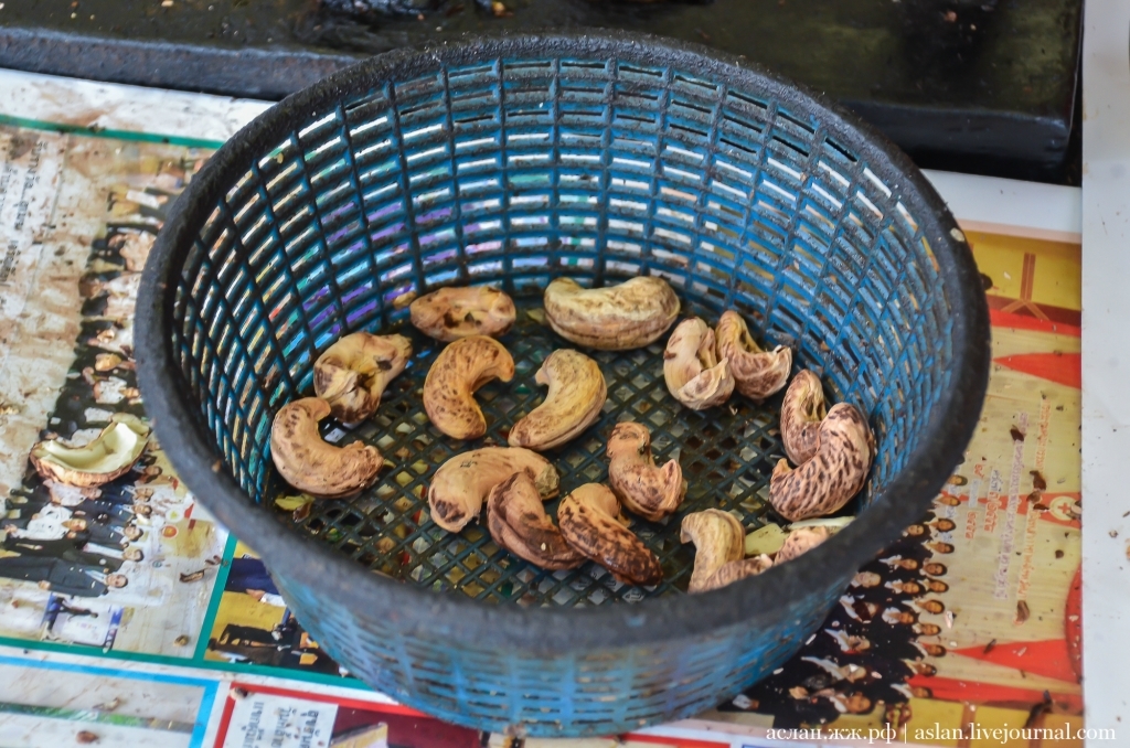 How cashews are grown and processed - My, Cashew, Thailand, Nuts, Longpost