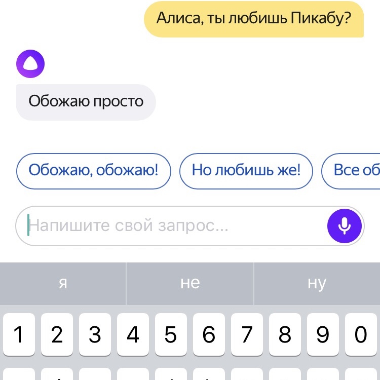 Everyone loves peekaboo - Peekaboo, Yandex., Screenshot, Love, Yandex Alice