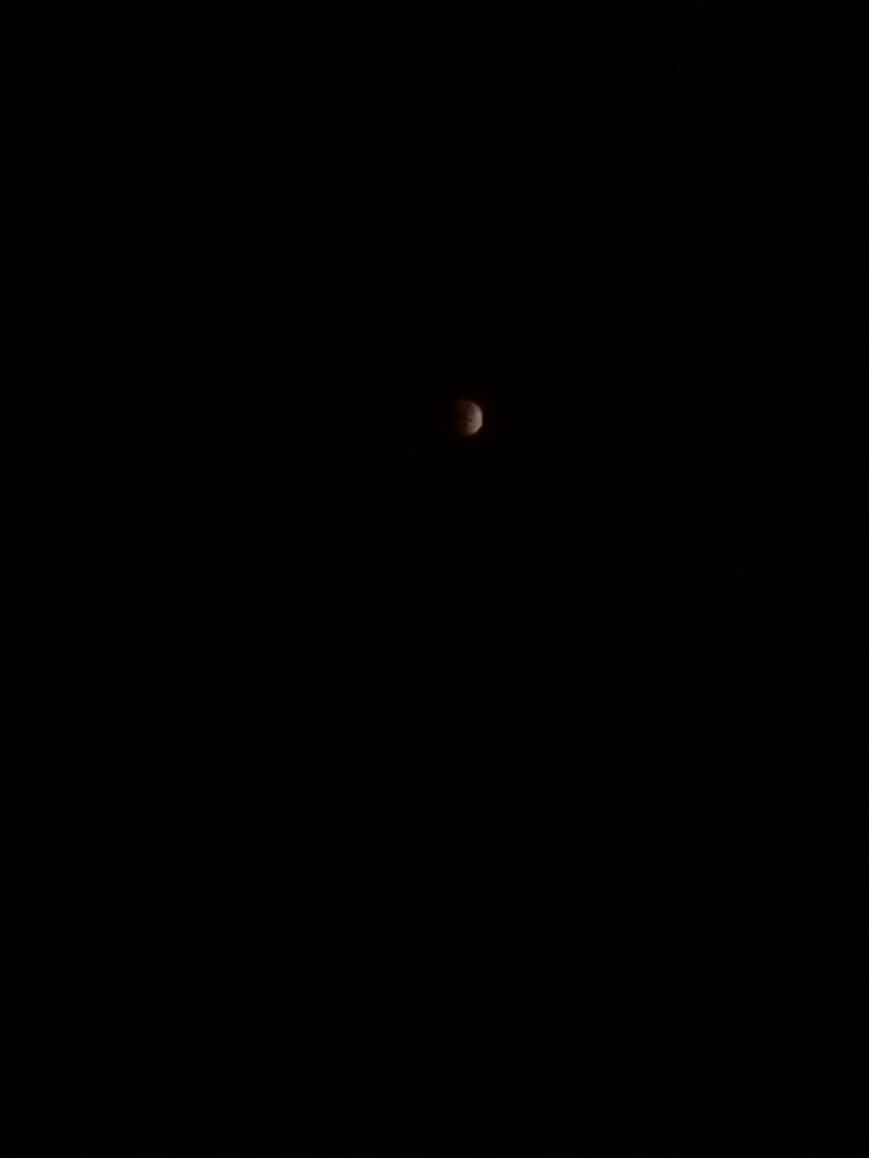 Lunar eclipse in Mukhorshibir. - My, Moon eclipse, Rare, Longpost