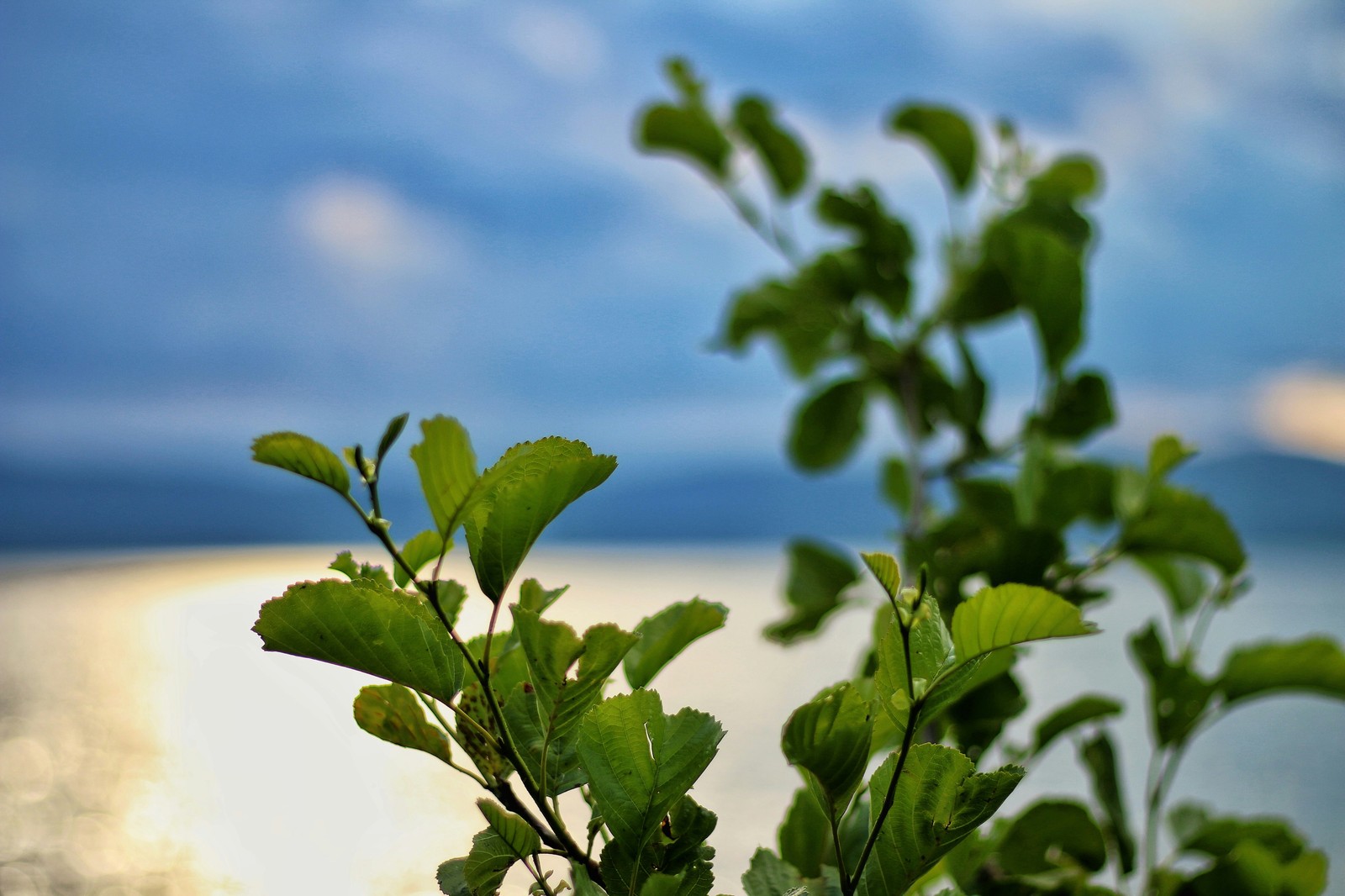 Oz. Turgoyak, Chelyabinsk Region - My, Photographer, Nature, Longpost