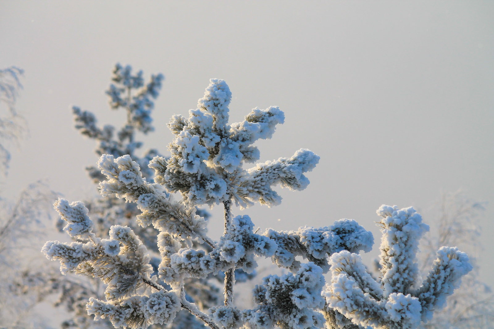 Mount Ezhovaya, part 3 - My, , The photo, Landscape, Winter, Longpost