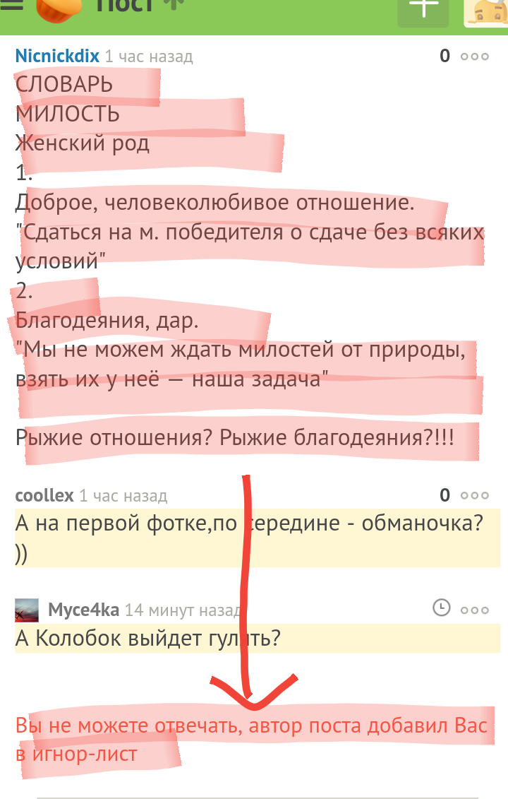 What's this? Why so?!!! - My, Milota, Russian language, Resentment, Illiteracy, Longpost