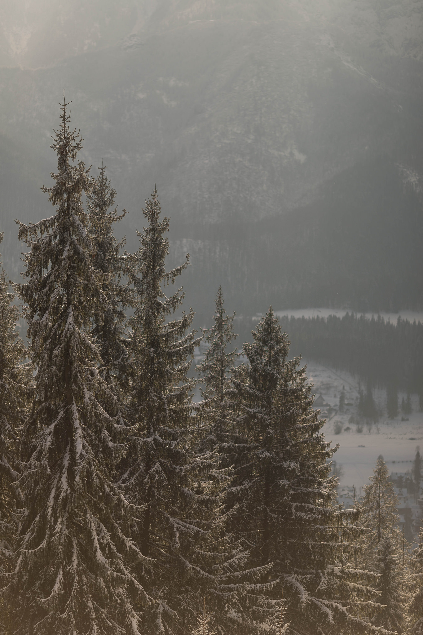 Poland, Zakopane. - My, Poland, Zakopane, Tatra Mountains, Longpost