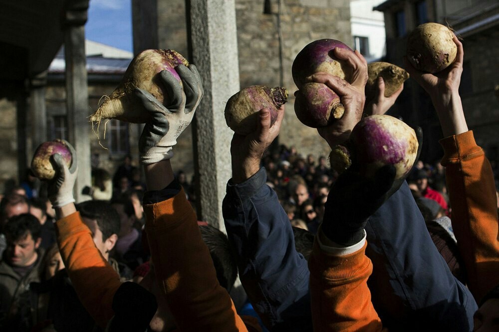 Dream work - The festival, Spain, Customs, Turnip, Longpost