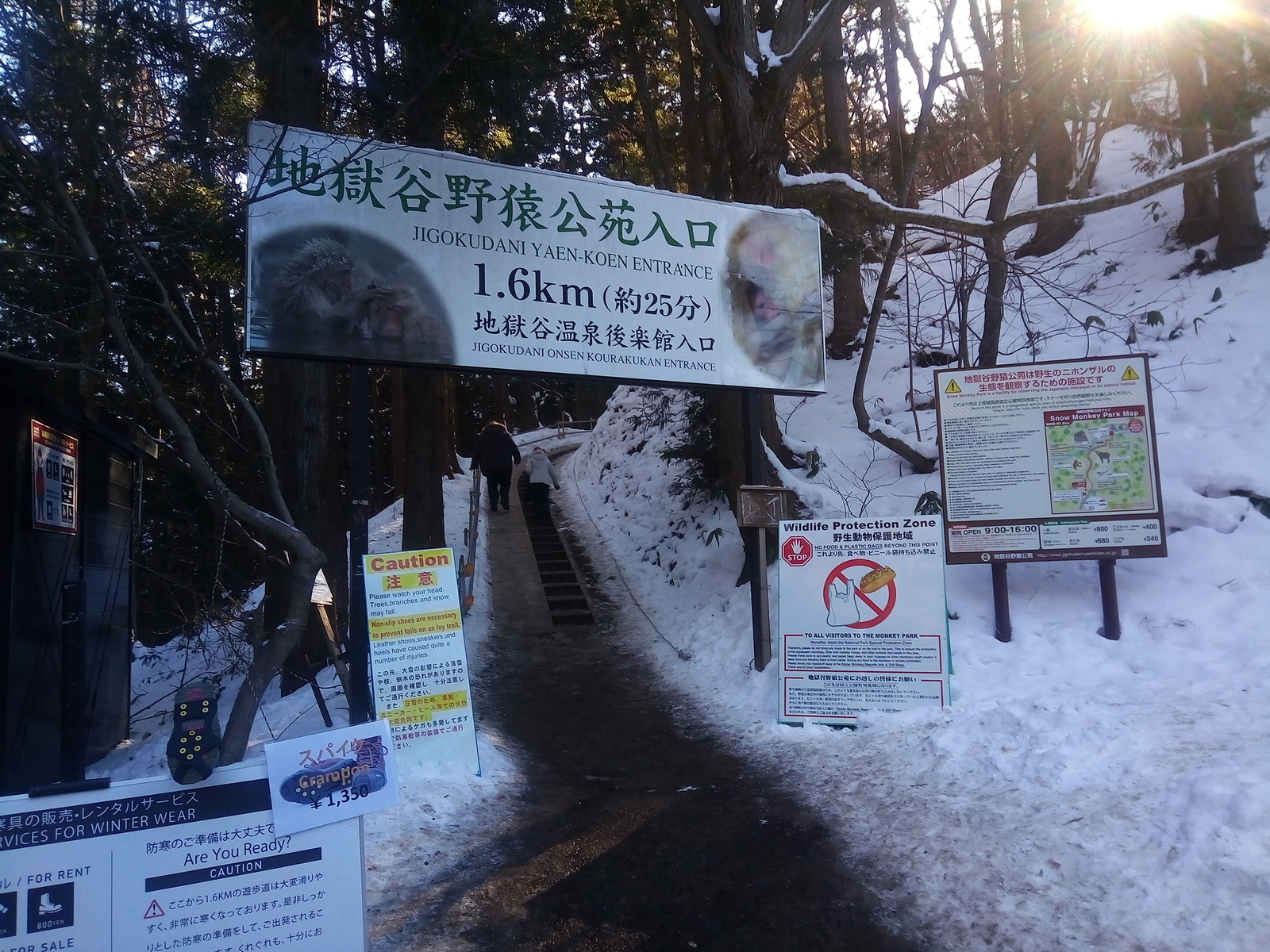 Matsumoto, Nagano, Jigokudani Snow Monkey Park - My, Japan, Travels, Longpost