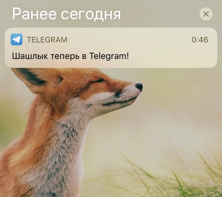 Даже не помню, кто это или что это - Моё, Telegram, Шашлык