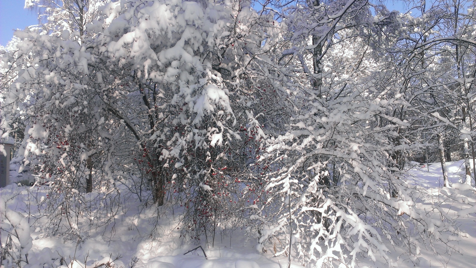 Winter's tale - My, Winter, Snow, Story, Longpost