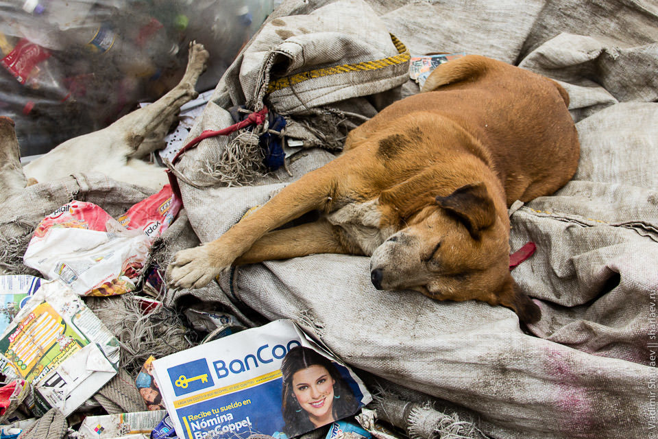 Мексика. Cuidad de Basura - Моё, Мексика, Фотография, Путешествия, Свалка, Длиннопост, Мусор, Экскурсия, Люди