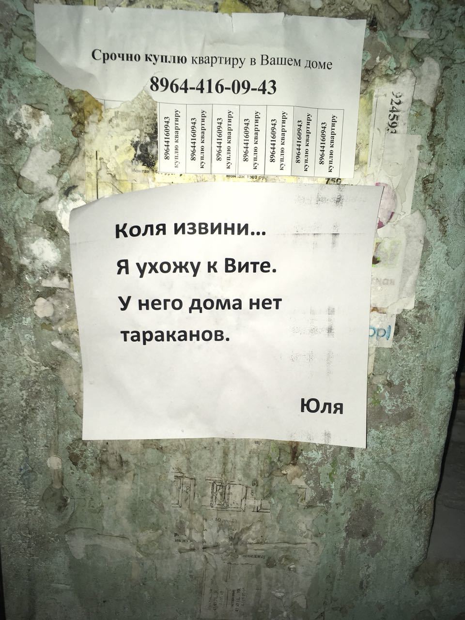 Колю жалко :( - Подъезд, Девушки, Печаль, Друг прислал, Тараканы, Юмор, Тег