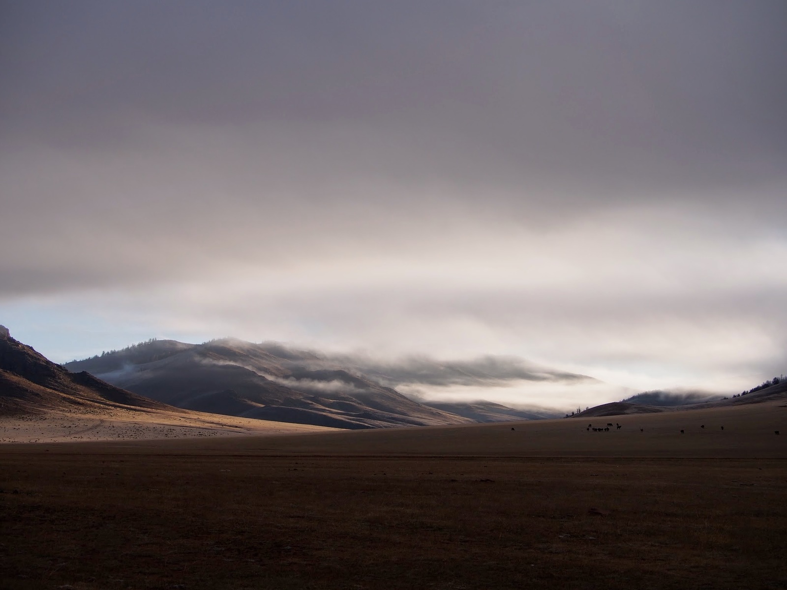 Mongolia, untouched nature - My, Mongolia, Nature, beauty, Story, Landscape, Longpost