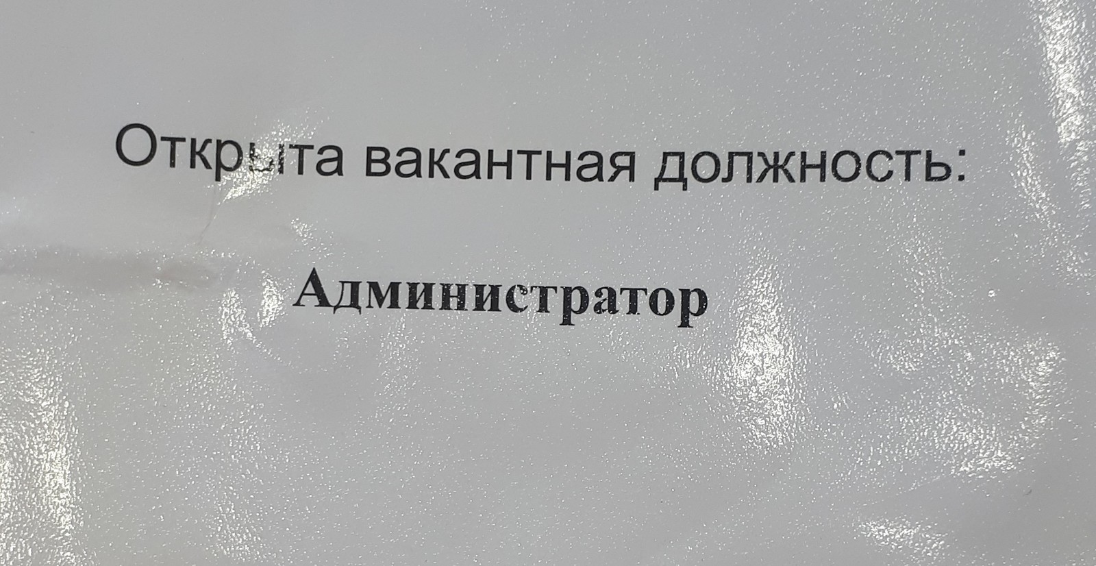 Дурдом и поиски Работы в Санкт-Петербурге | Пикабу