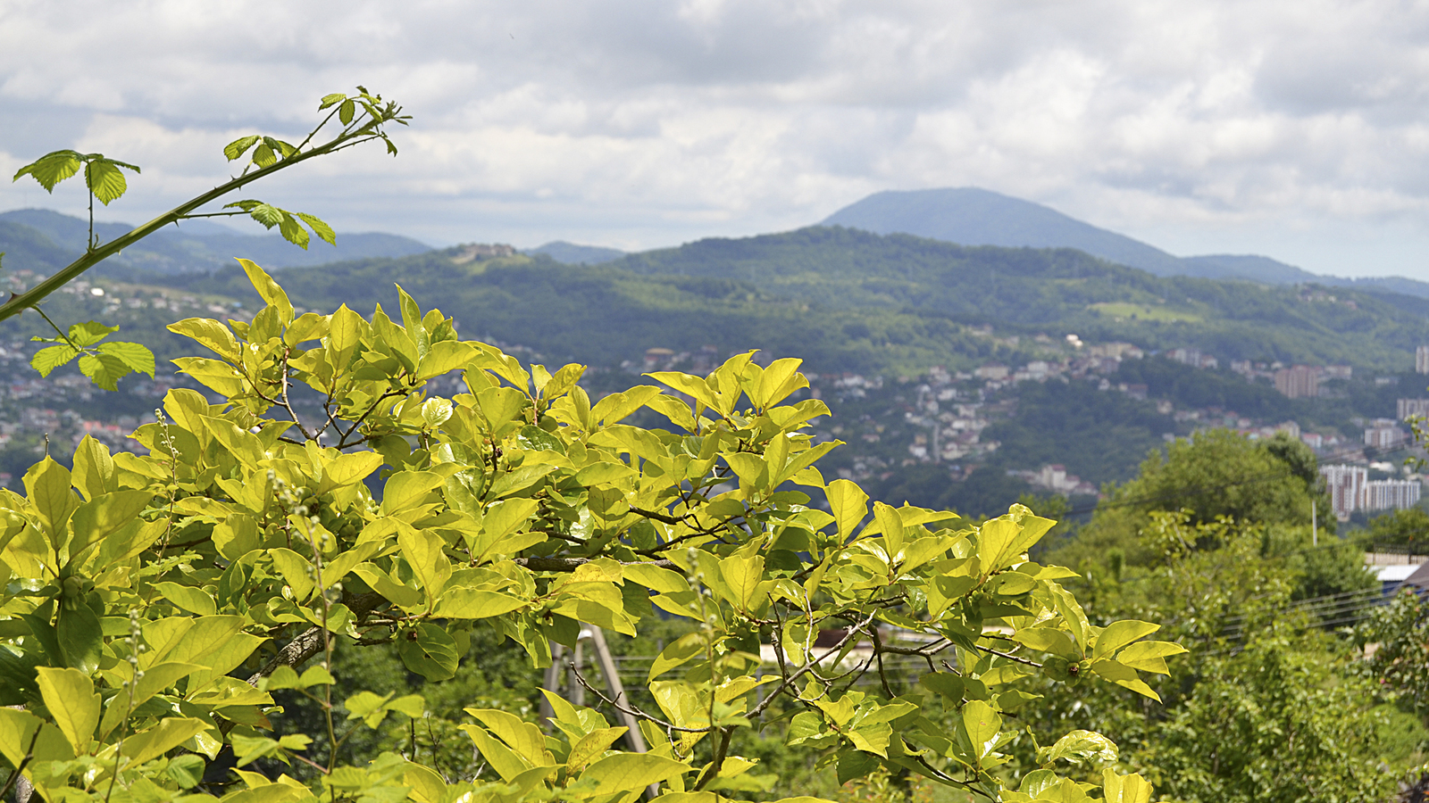 Sochi. View of Mount Akhun - My, Sochi, , The photo, Beginning photographer, Greenery, beauty, My