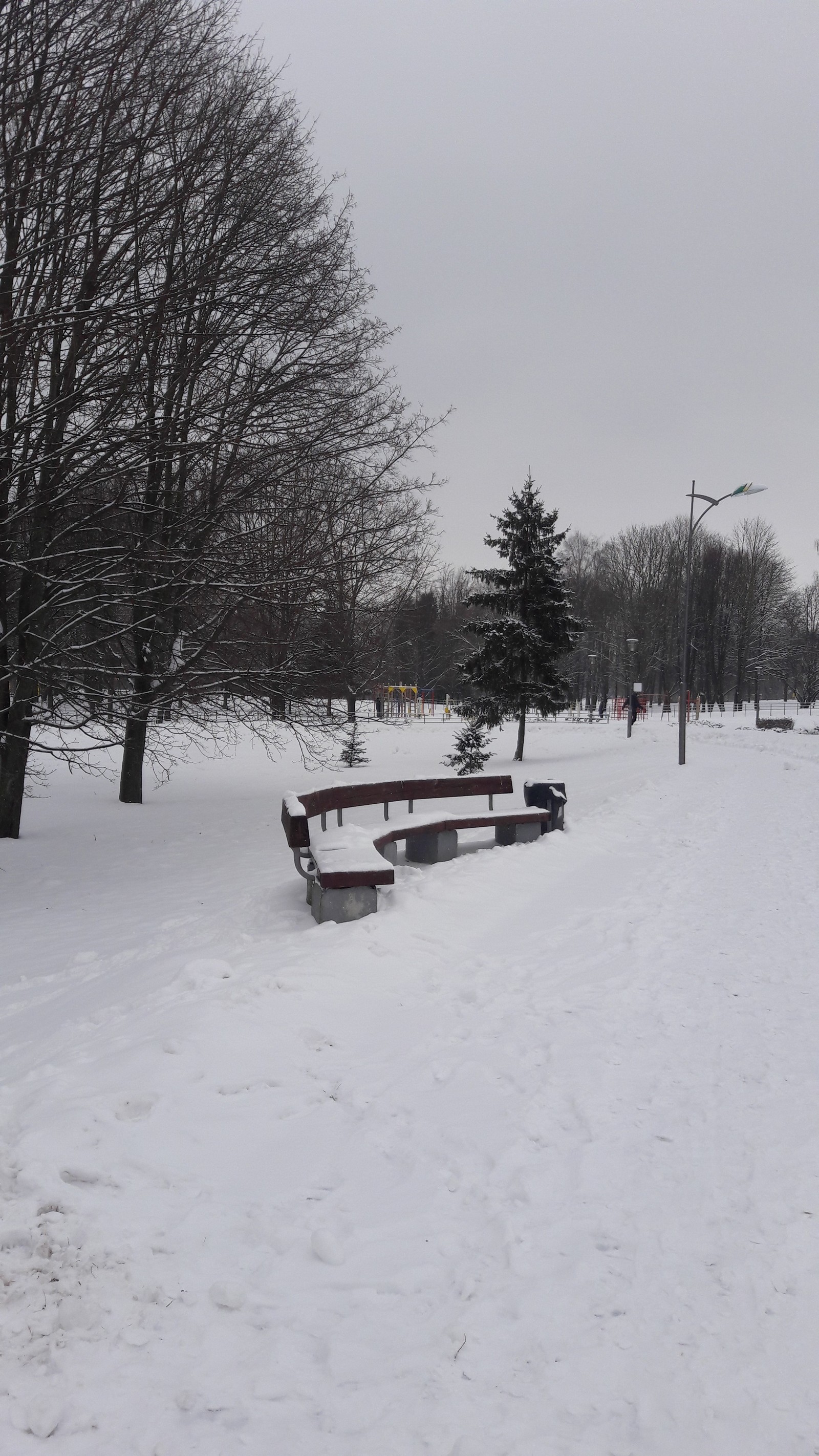 Walk in the winter park - My, Mobile photography, Samsung Galaxy a5, Photo on sneaker, Minsk, Winter, Longpost