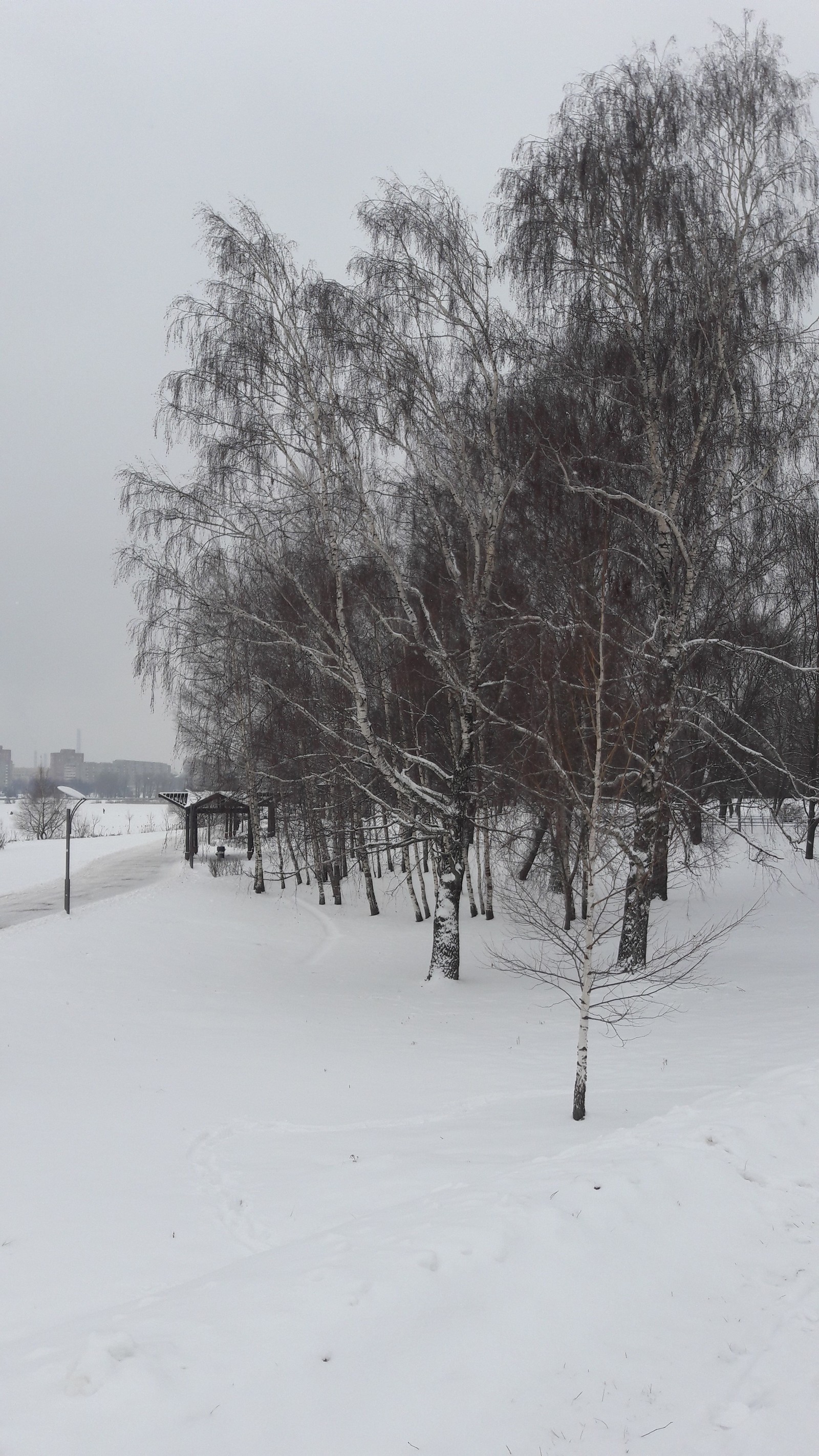 Walk in the winter park - My, Mobile photography, Samsung Galaxy a5, Photo on sneaker, Minsk, Winter, Longpost