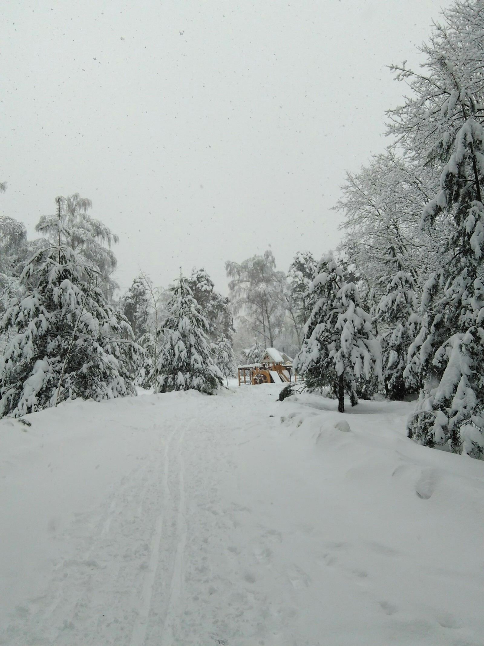 Fairytale winter in Mytishchi - My, Mytischi, Winter, The photo, Longpost