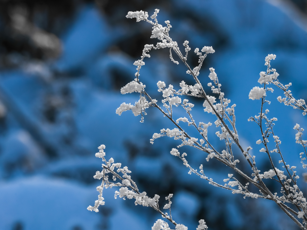 stinking beauty - My, Frost, freezing, Winter, Siberia, Nature, Sewerage, Evaporation, Longpost