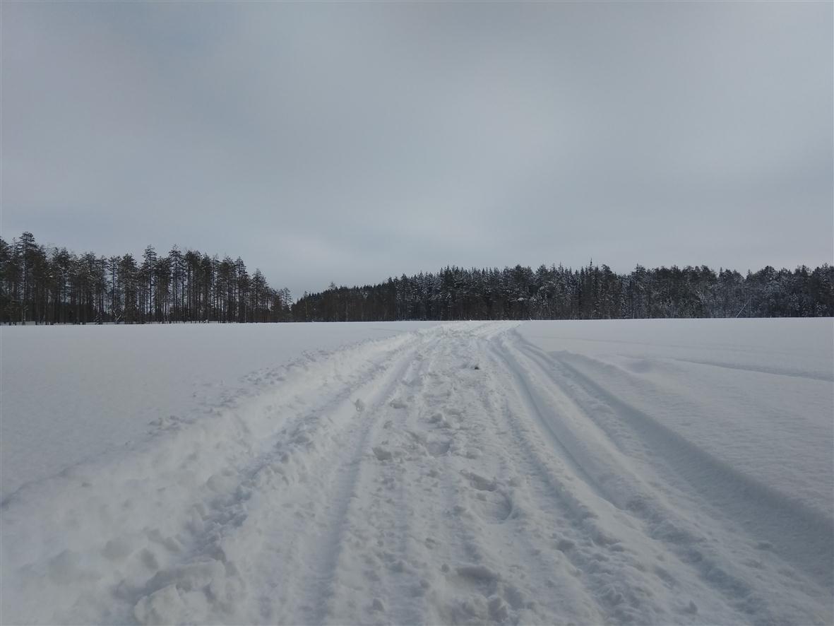 Три дня в Тундре. | Пикабу