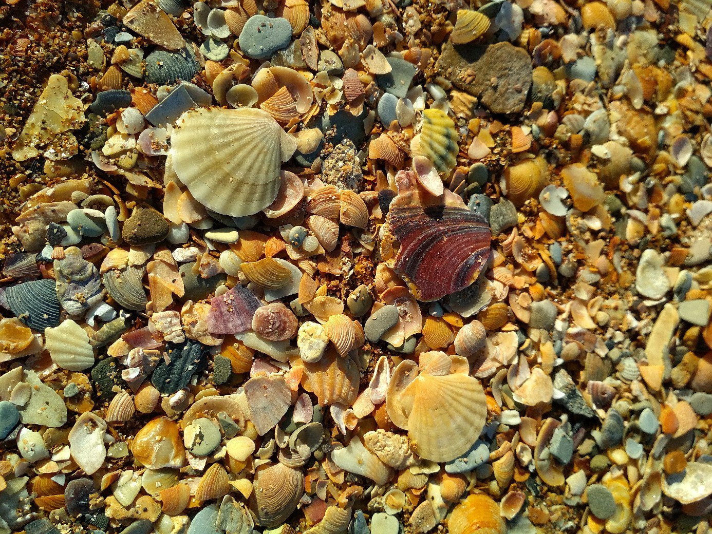 February Gelendzhik - My, Sea, Gelendzhik, The mountains, Beach, Seashells, Longpost